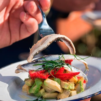 Tartar with avocado and strawberries