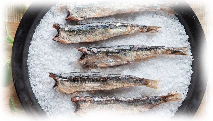 Anchois salés salé