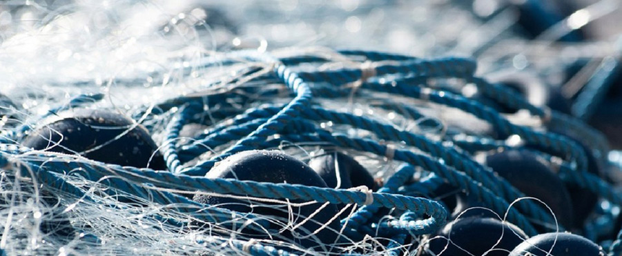 <em>Nassari</em>, una història amb arrels marineres, ofici artesà i sabor autèntic