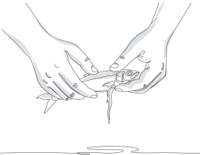 Boquerones marinados con esmero artesanal