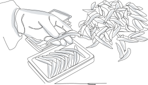 Boquerones marinados con esmero artesanal