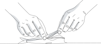 Anchoas en sal, siguiendo el método tradicional